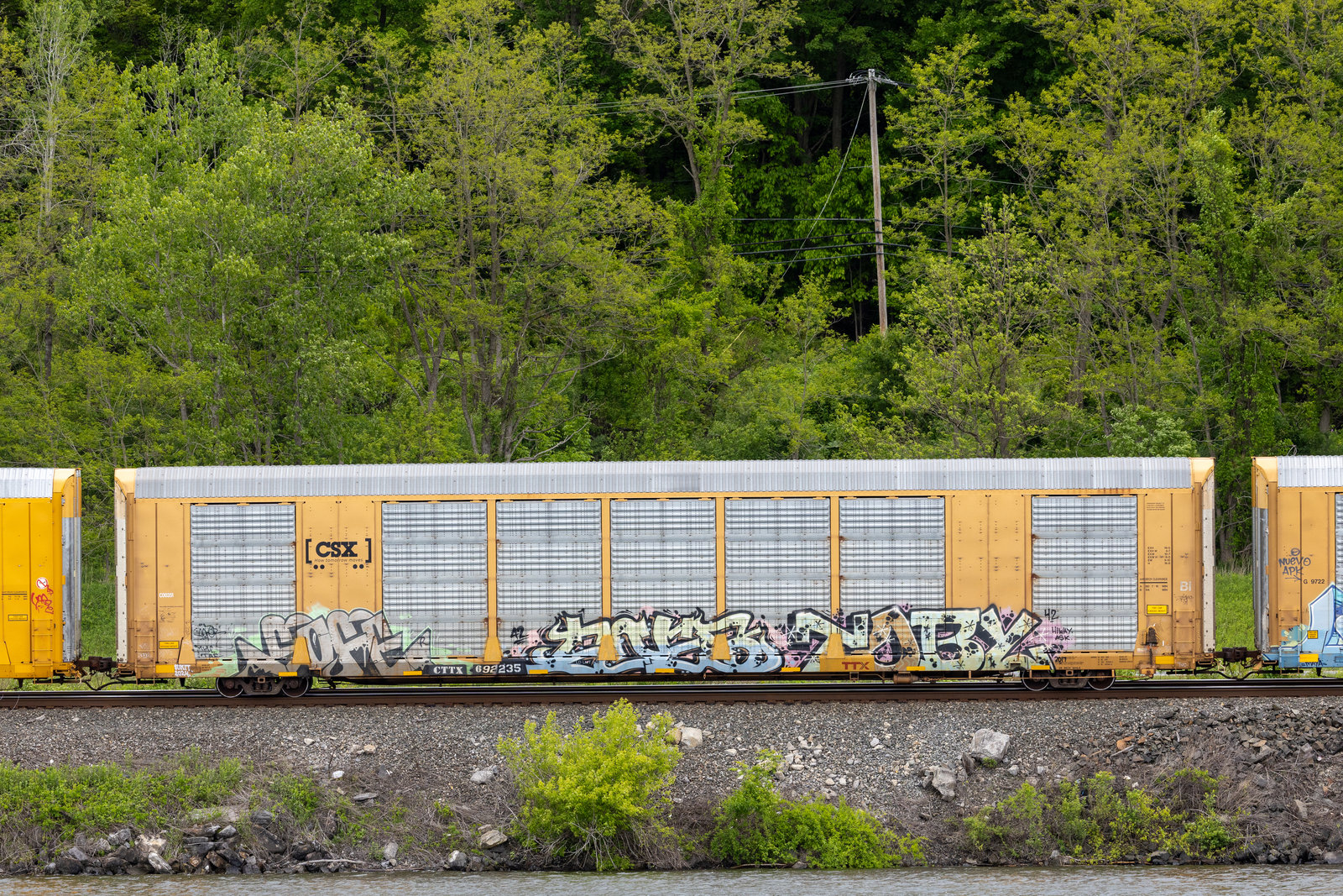 CTTX 692235