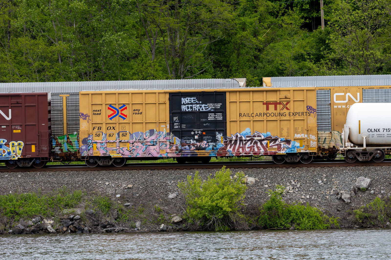FBOX 506762