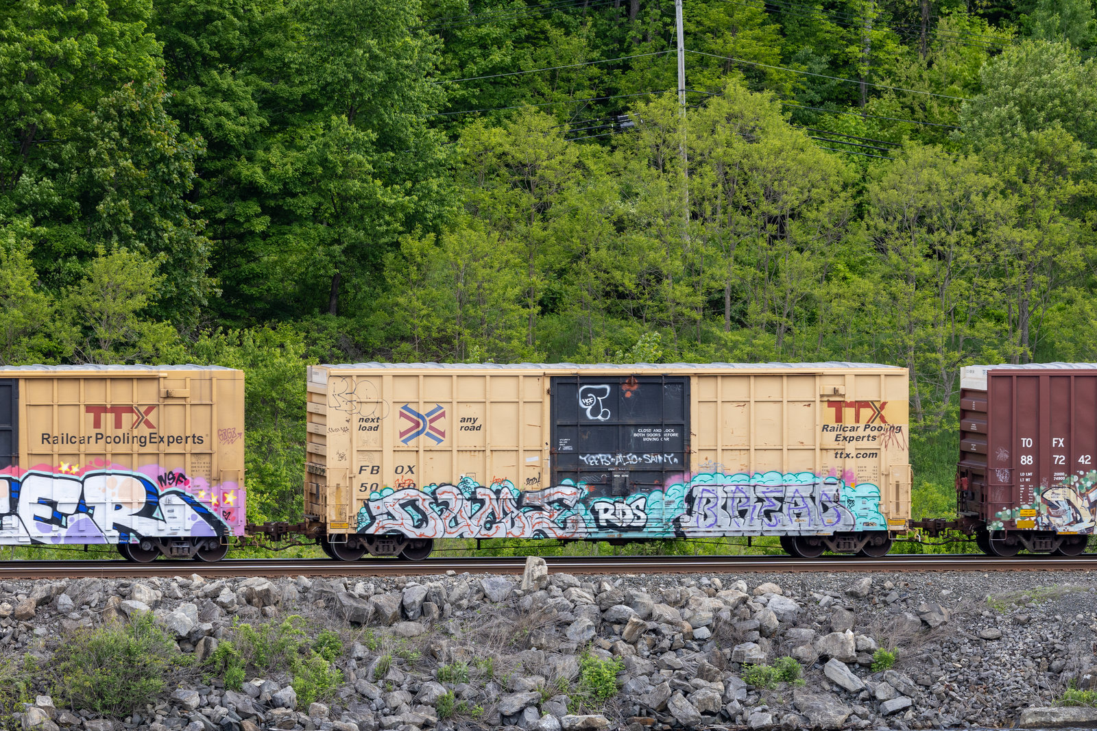 FBOX 505089