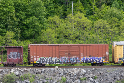 MCSA 1909x