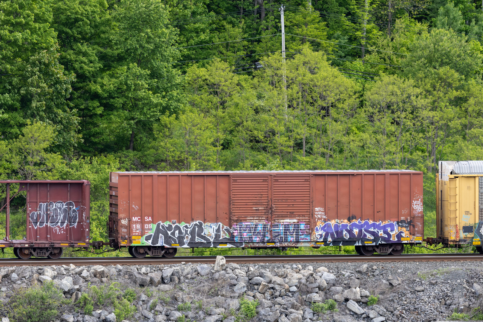 MCSA 1909x