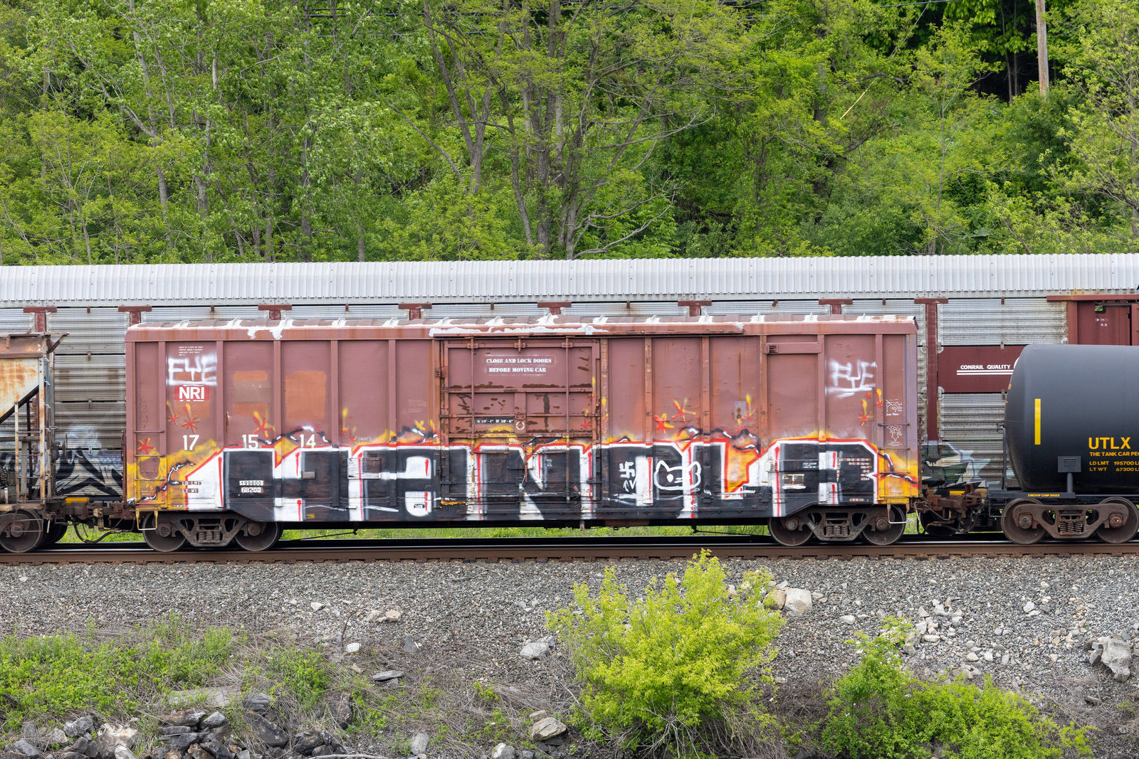NRI 171514