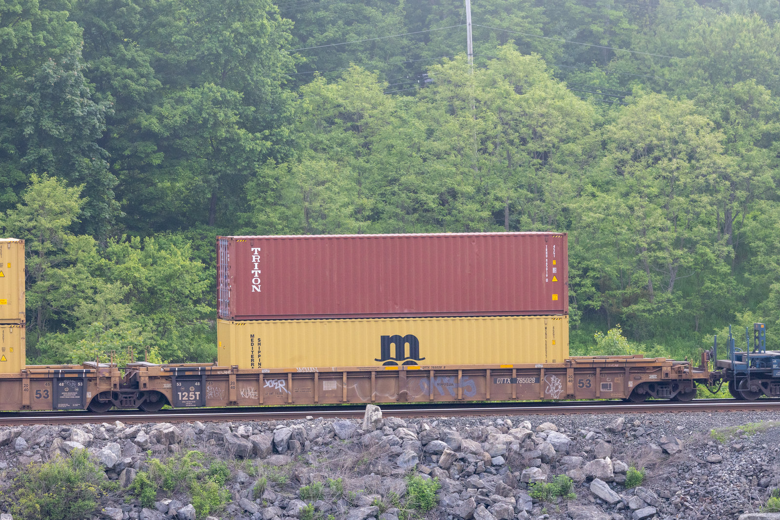 DTTX 785028B