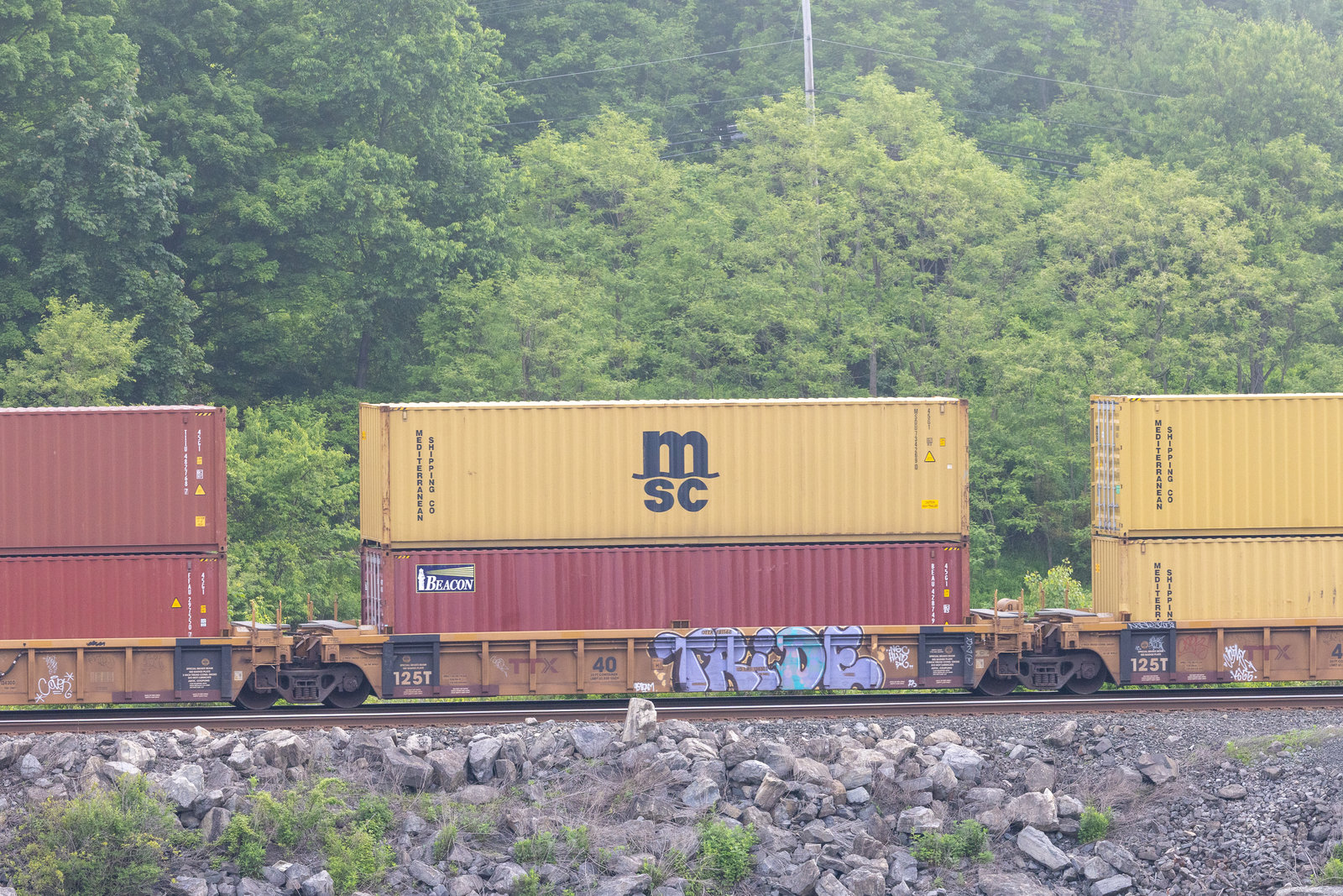 DTTX 781148D