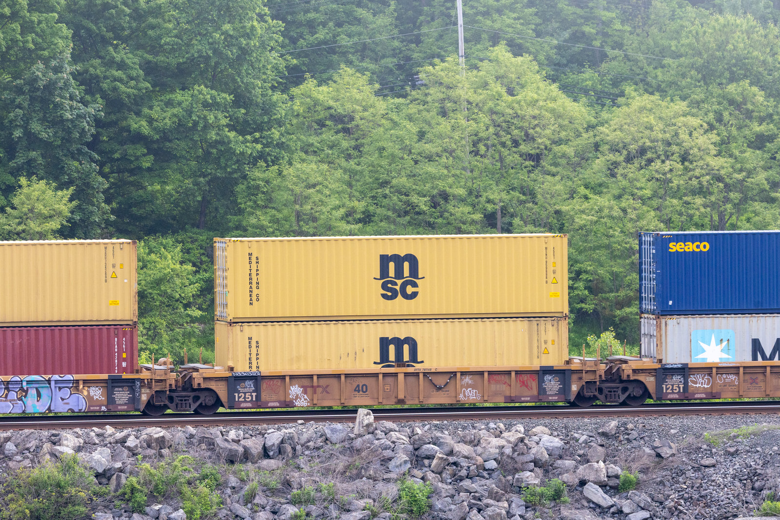DTTX 781148C