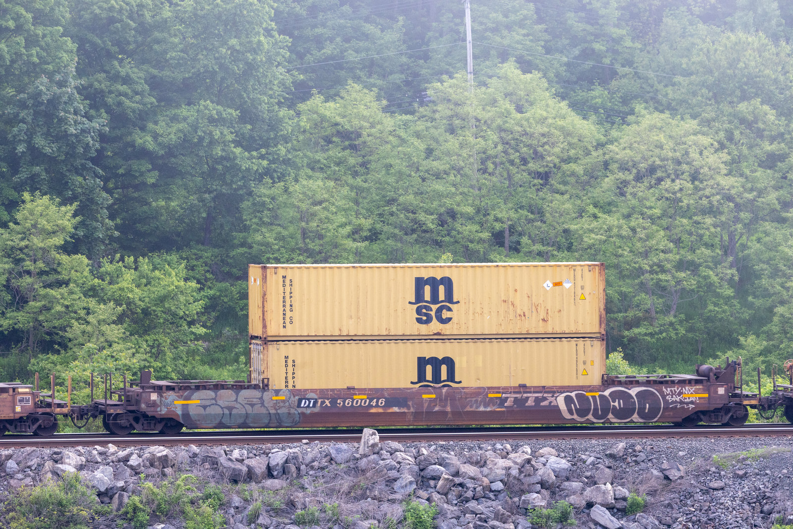 DTTX 560046