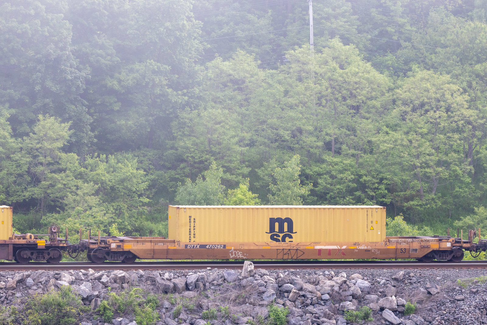 DTTX 470262