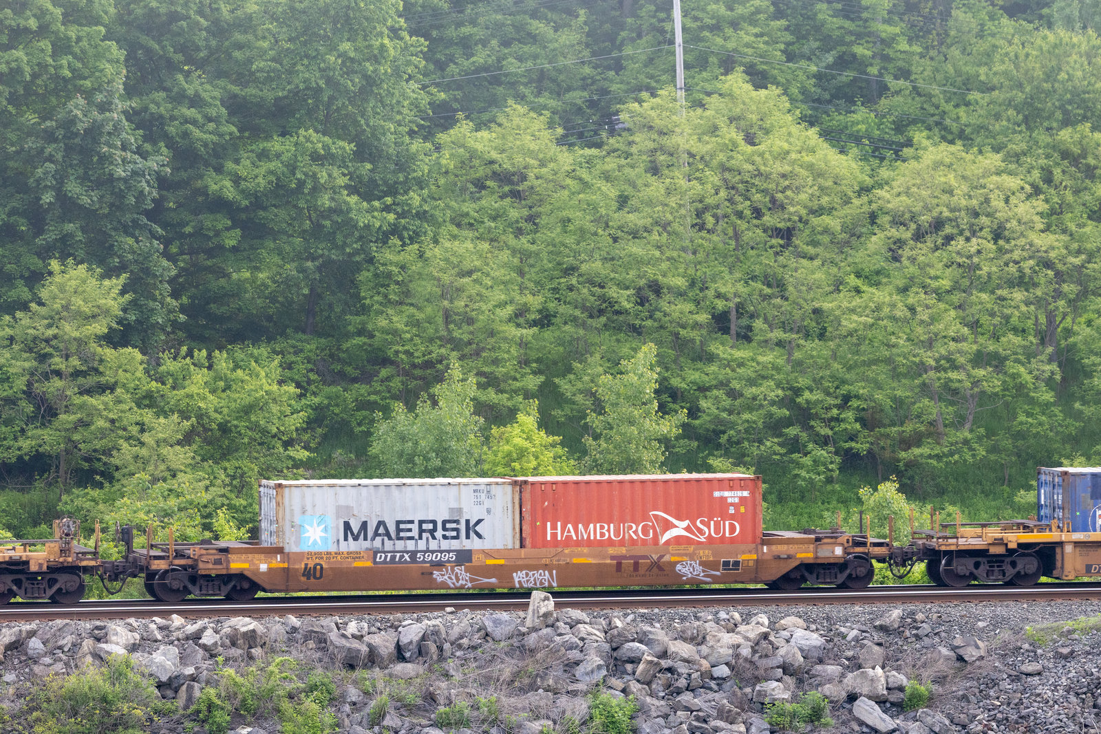 DTTX 59095