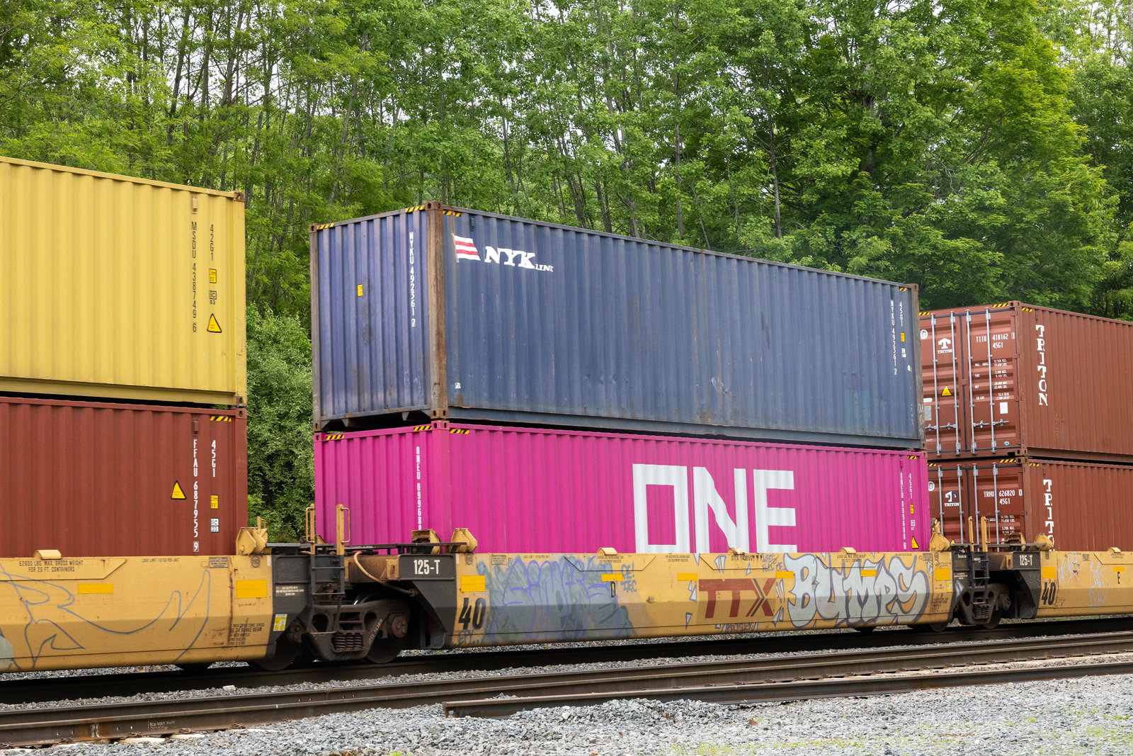 DTTX 743819D