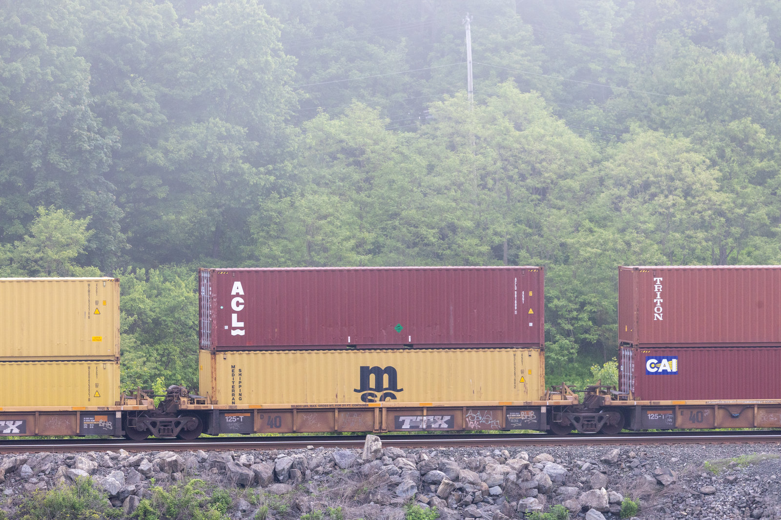 DTTX 740611D