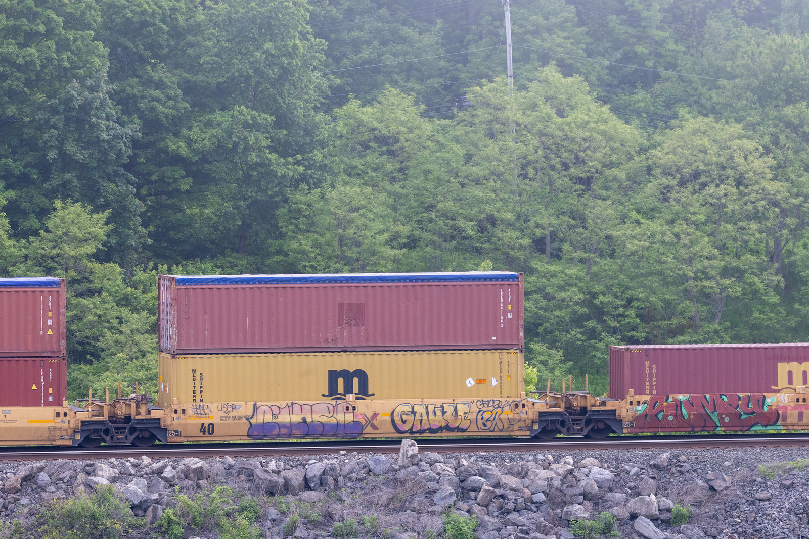 DTTX 74637D