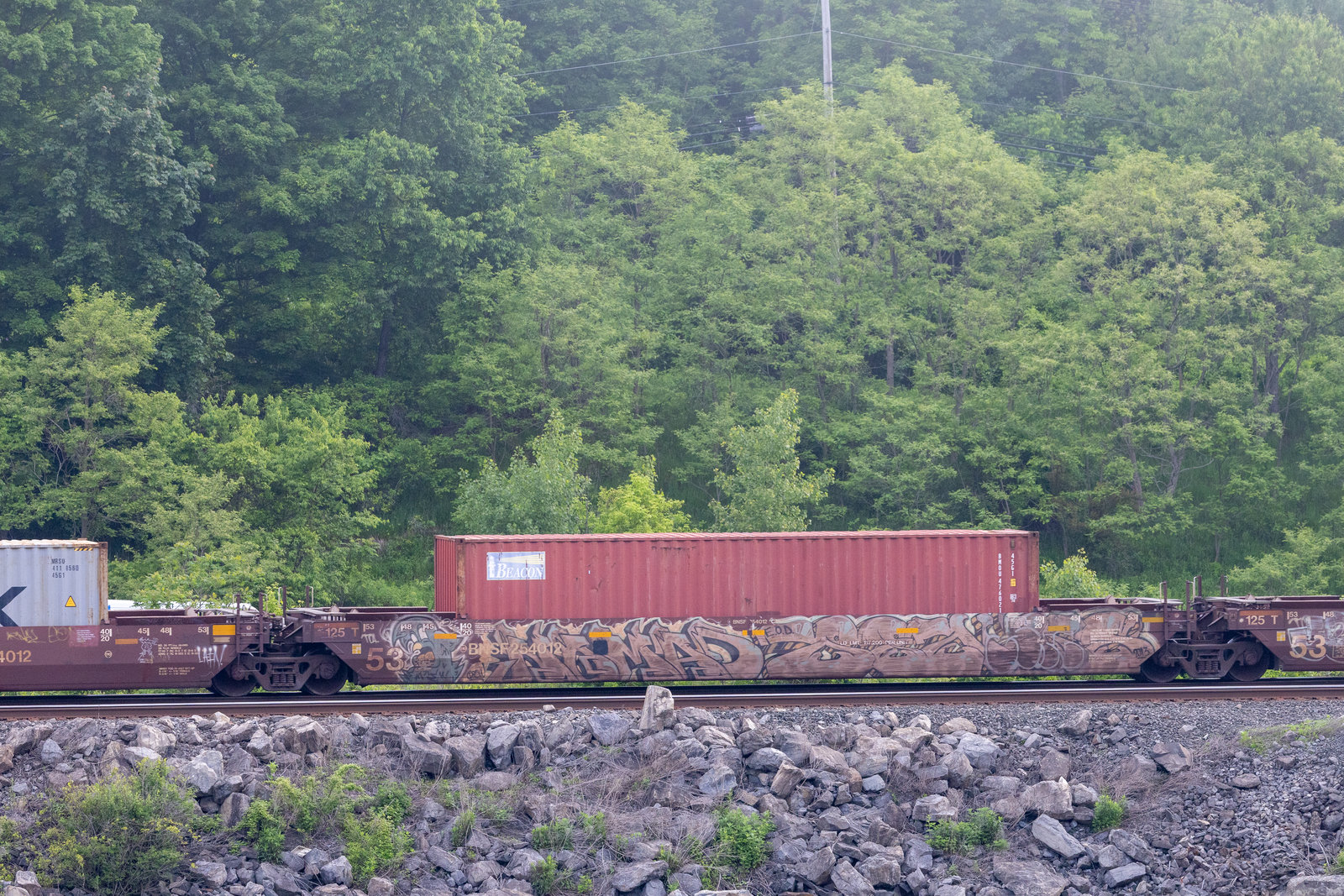 BNSF 254012C