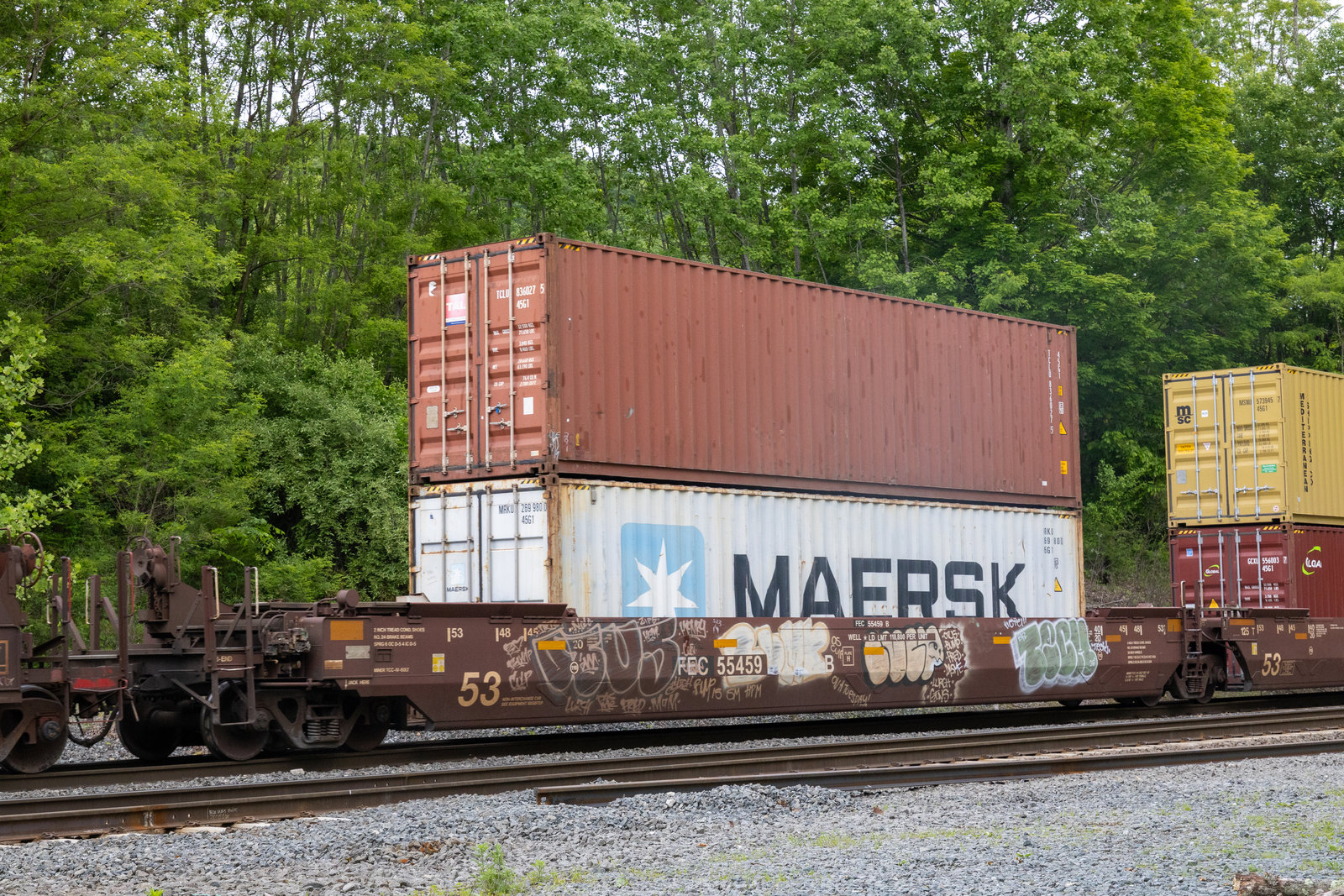 FEC 55459B
