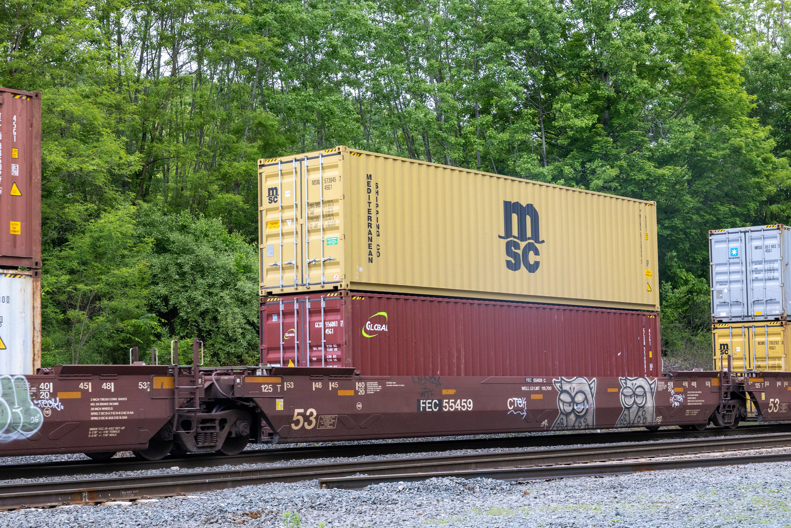 FEC 55459C
