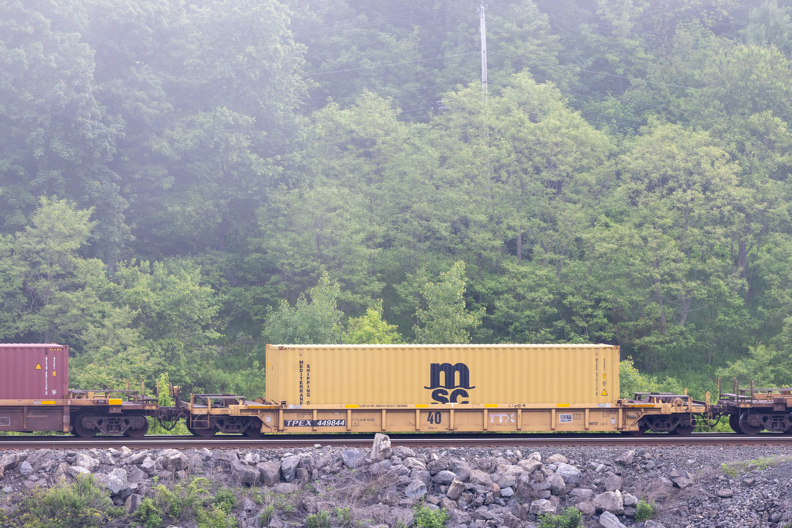 TPEX 449844