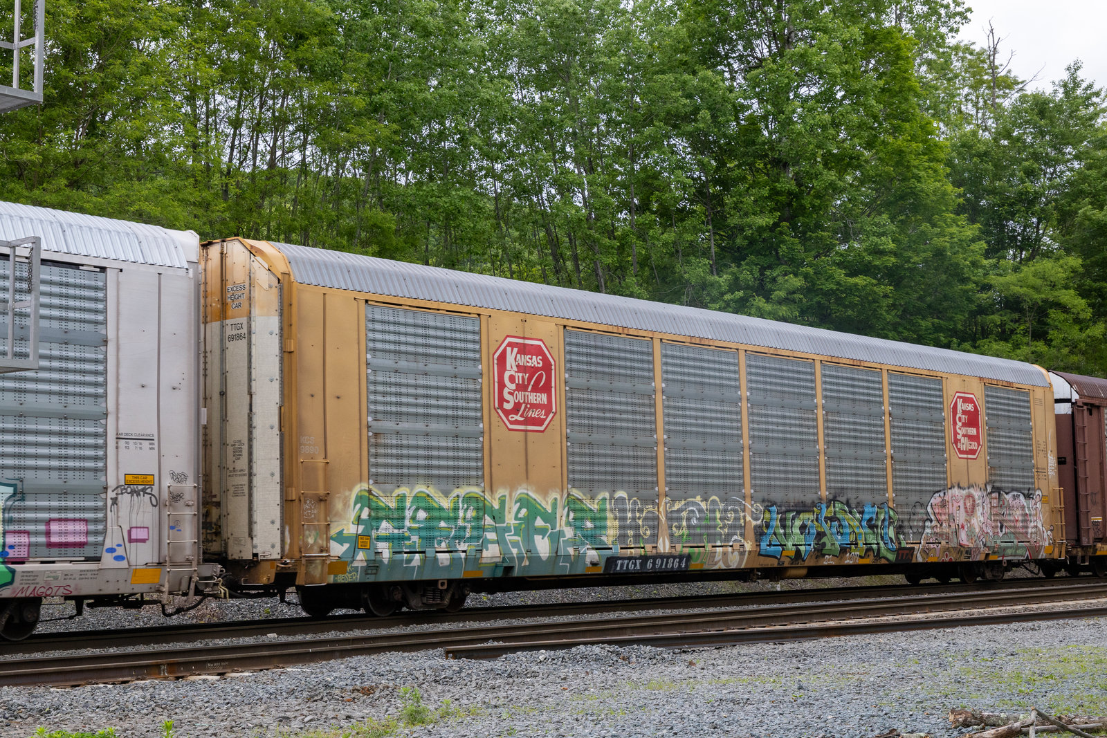 TTGX 691864