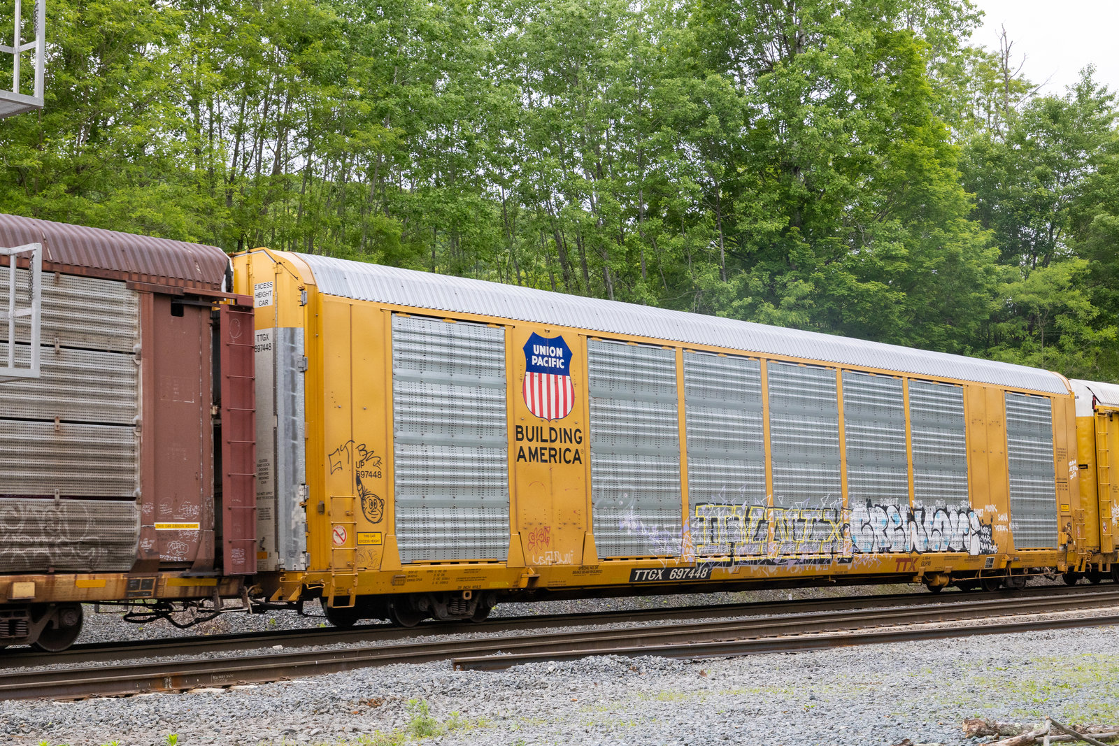 TTGX 697448
