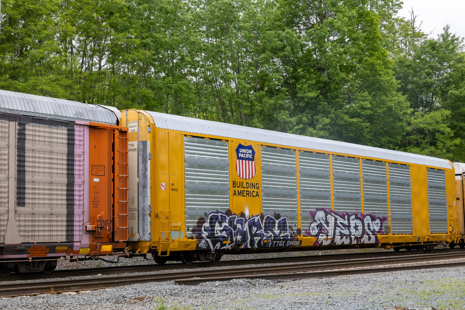 TTGX 699288