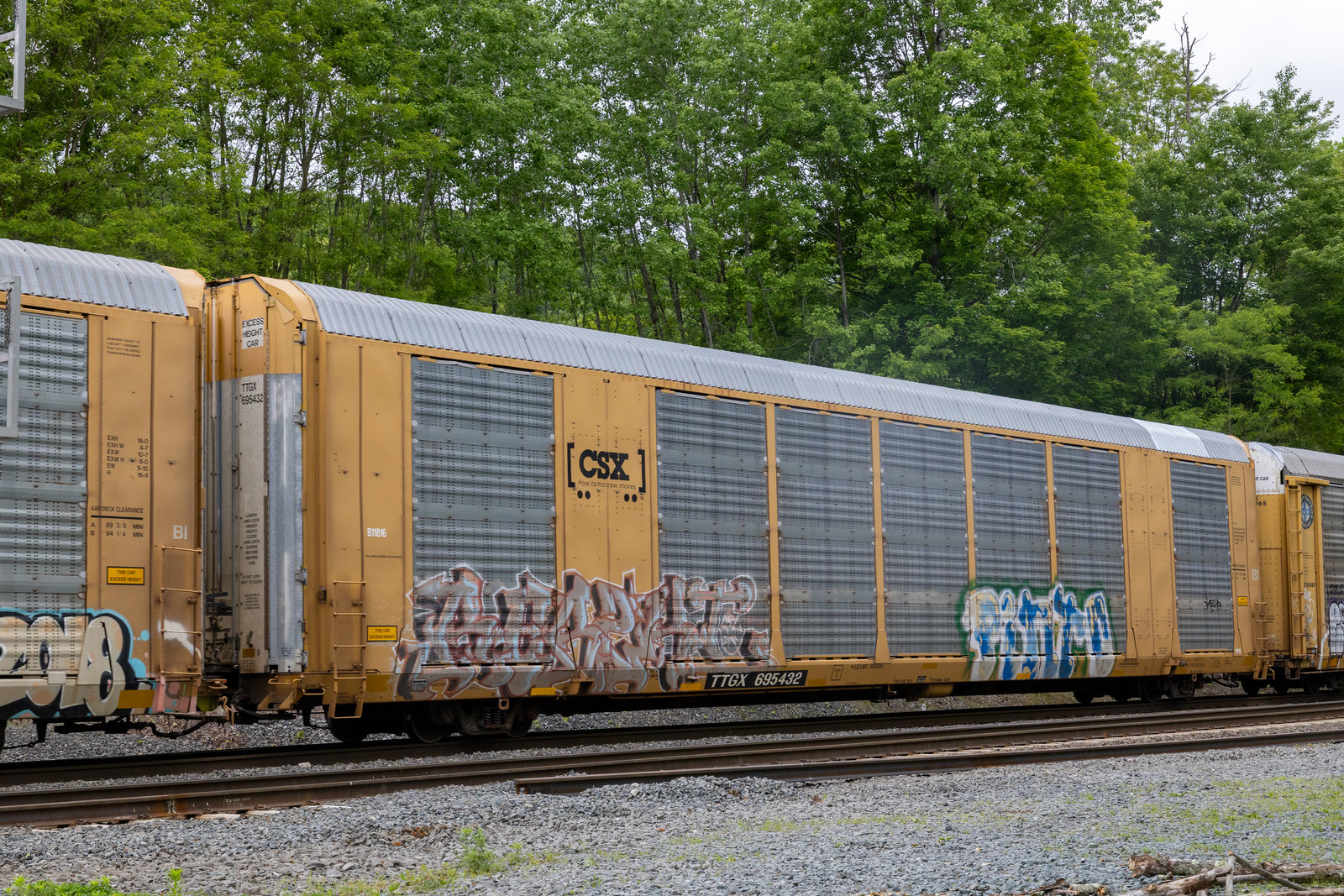 TTGX 695432