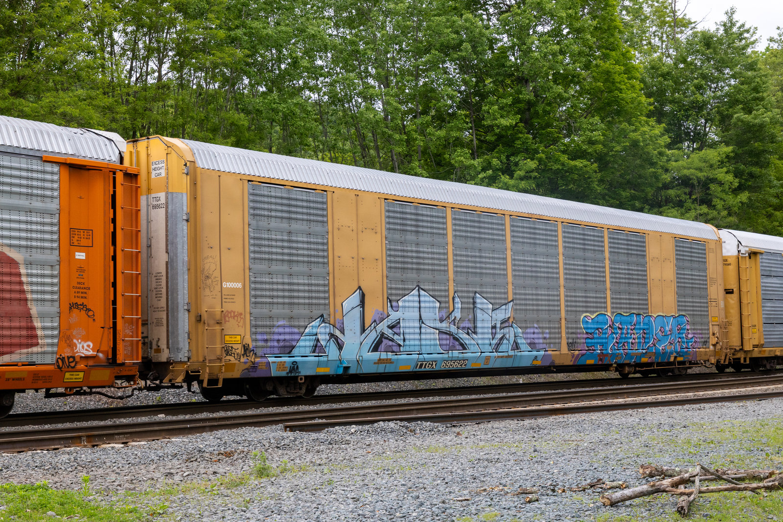 TTGX 695622