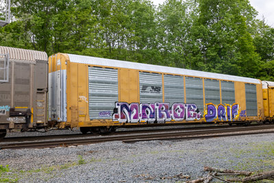 TTGX 824113
