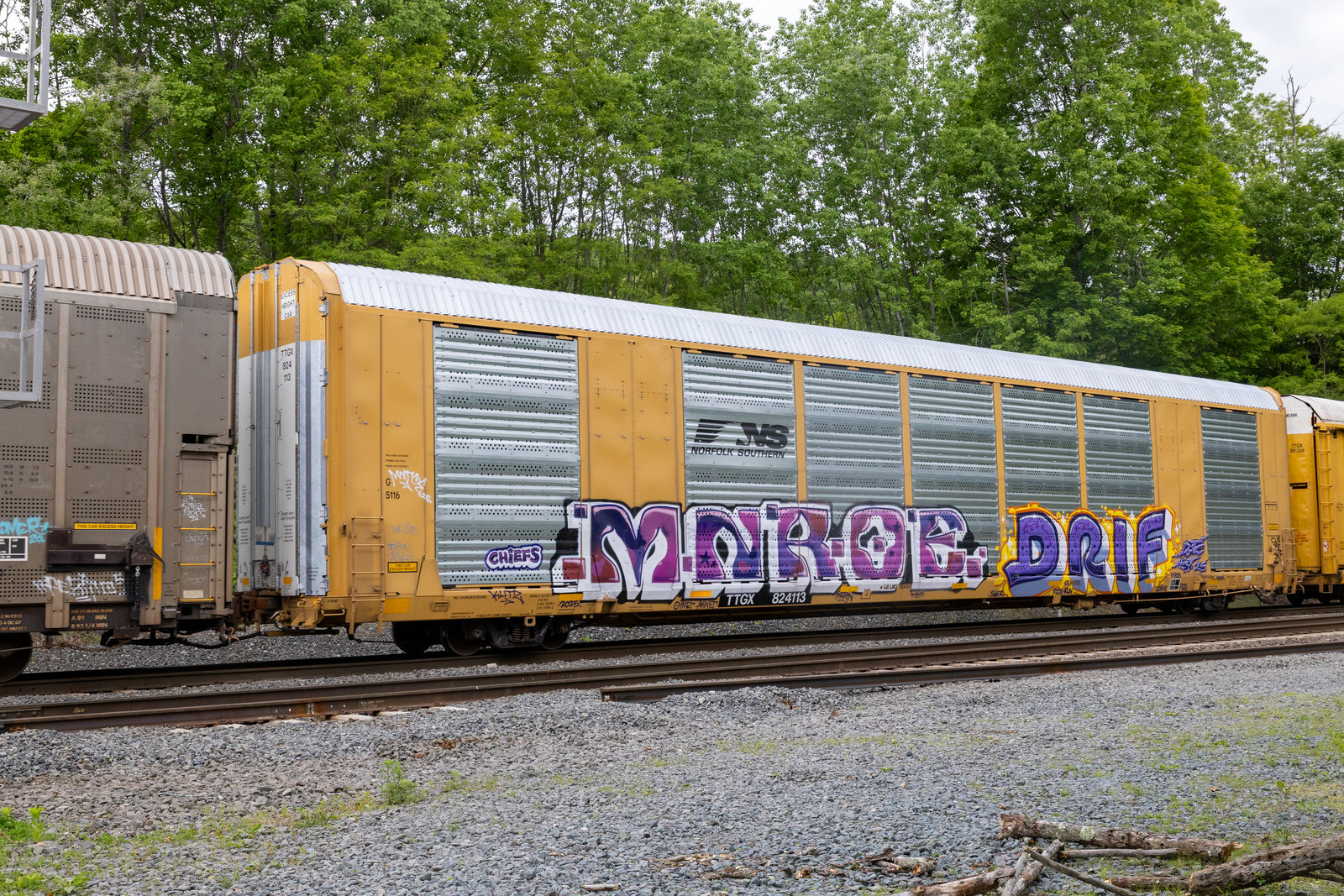 TTGX 824113