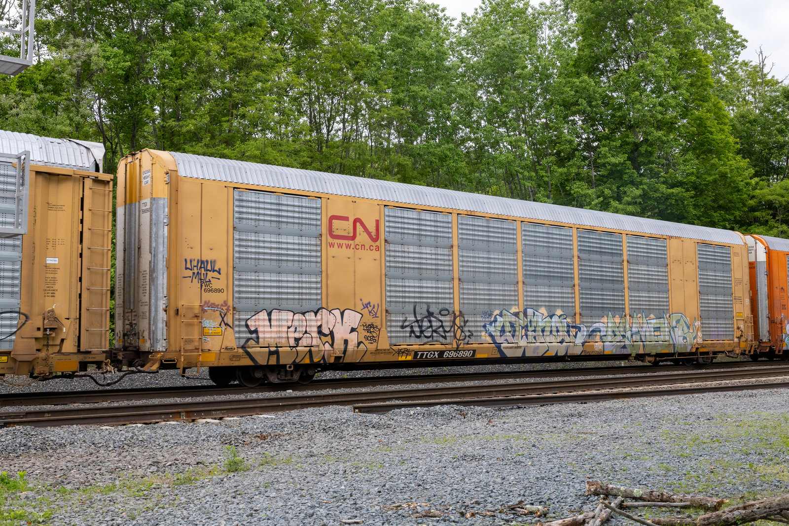TTGX 696890