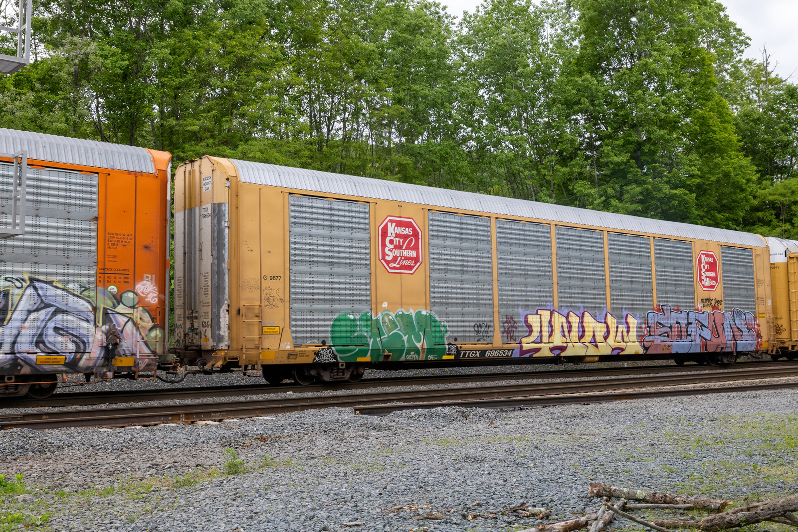 TTGX 696534