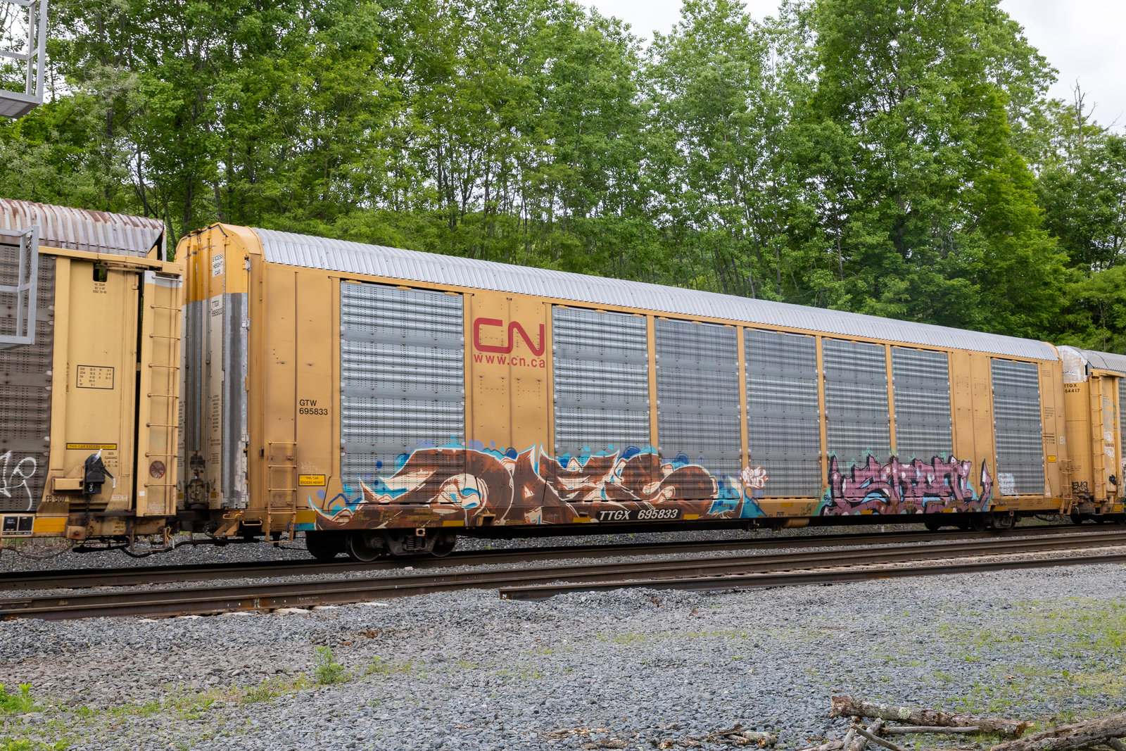 TTGX 695833