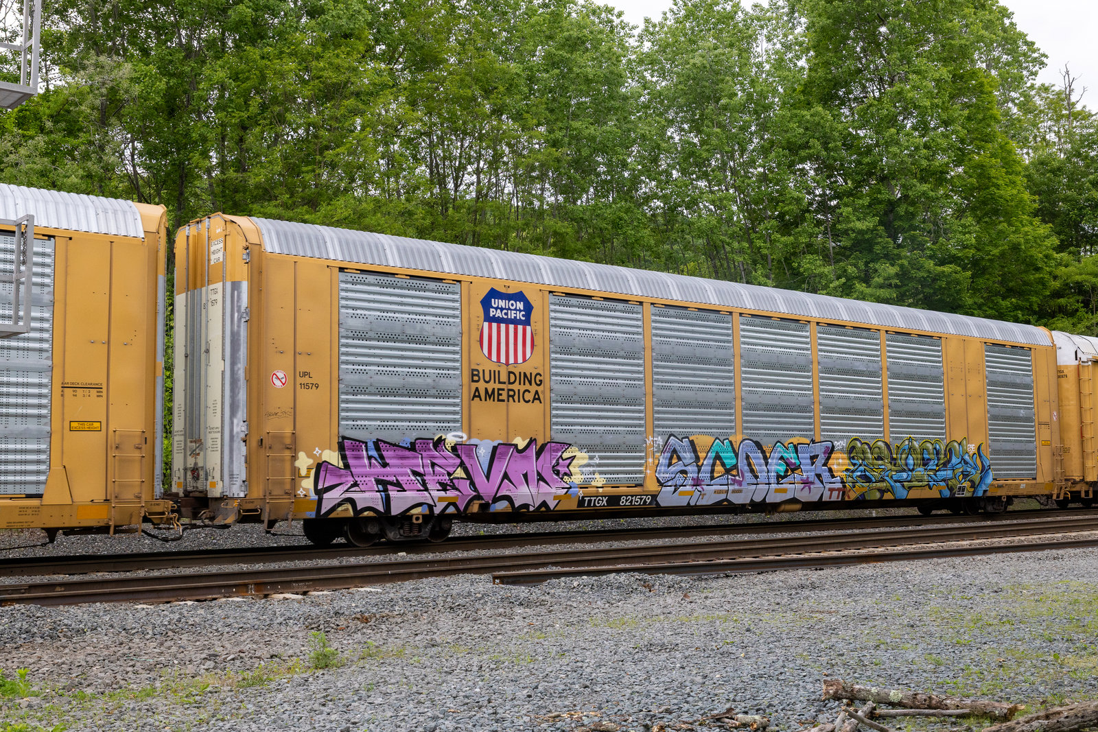 TTGX 821579