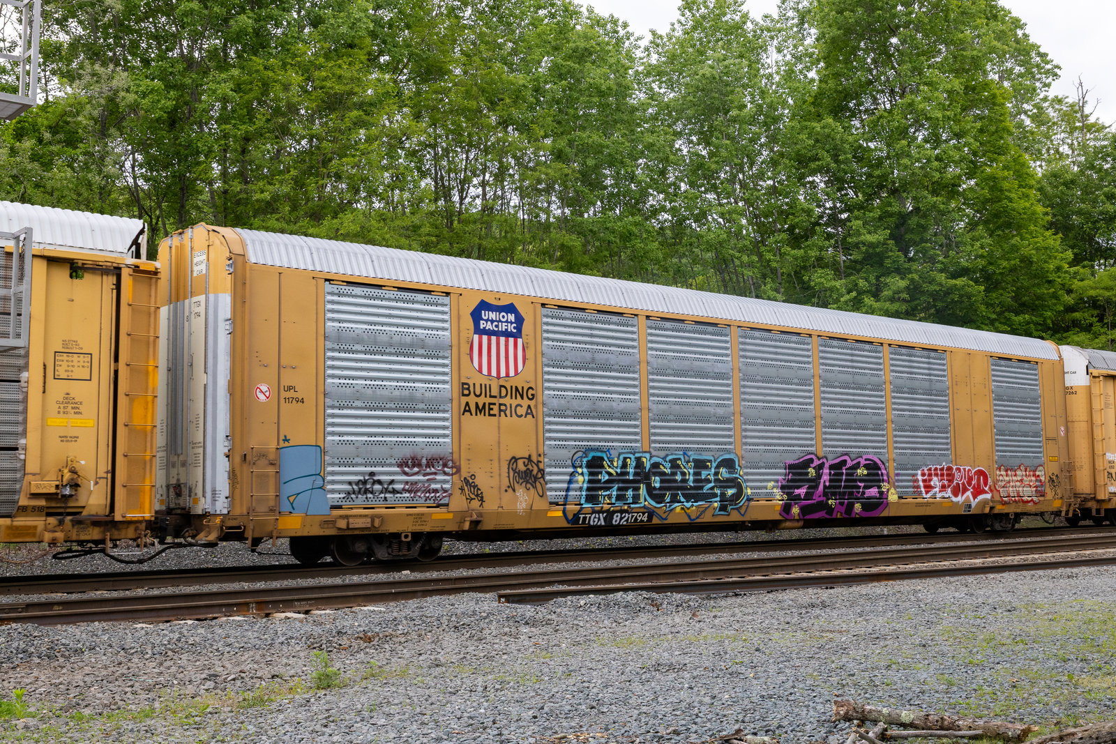 TTGX 821794