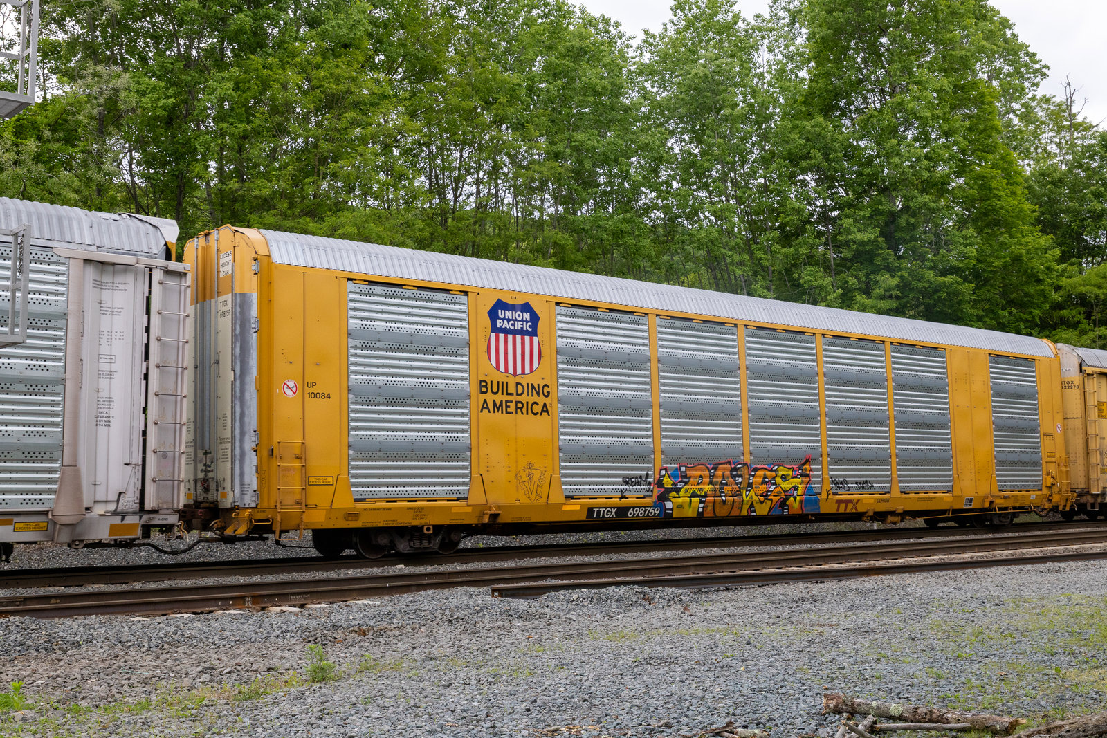 TTGX 698759