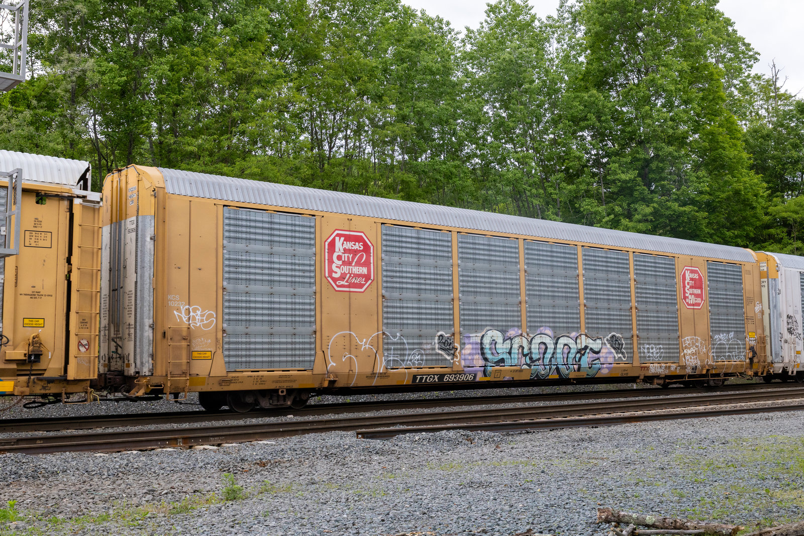 TTGX 693906