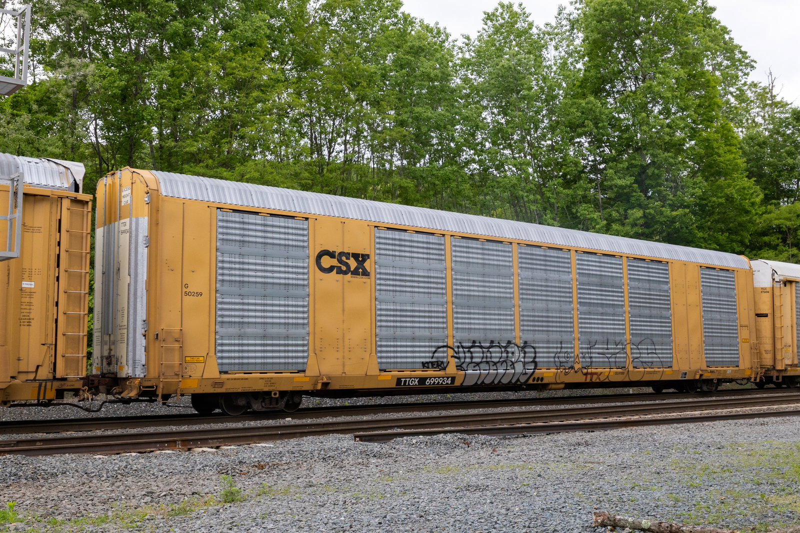 TTGX 699934