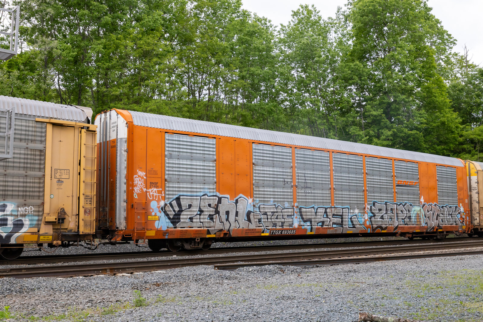 TTGX 693685