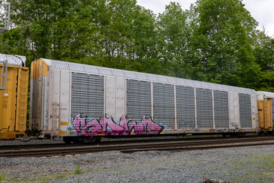 TTGX 698325