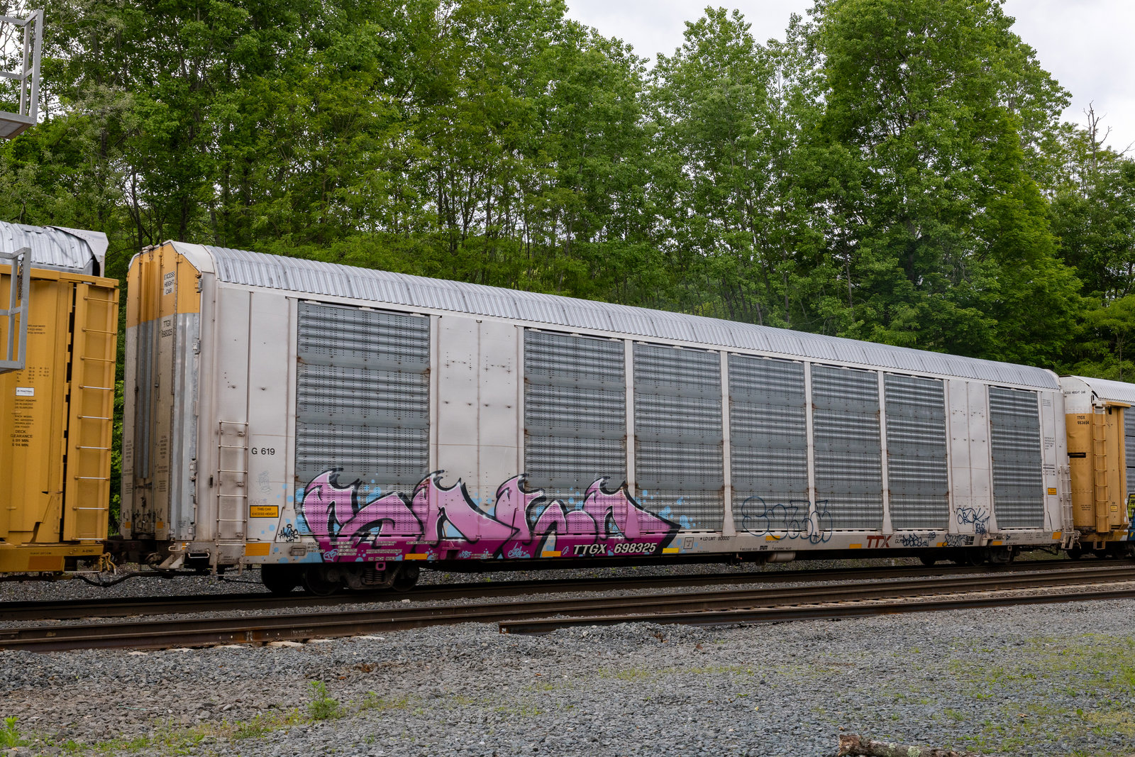 TTGX 698325