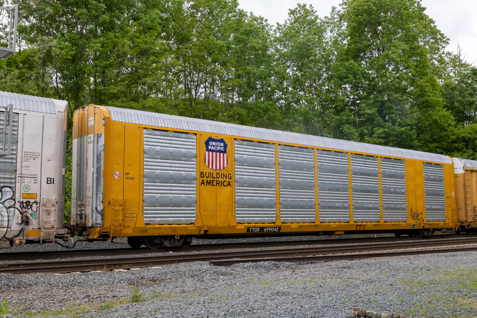 TTGX 699042