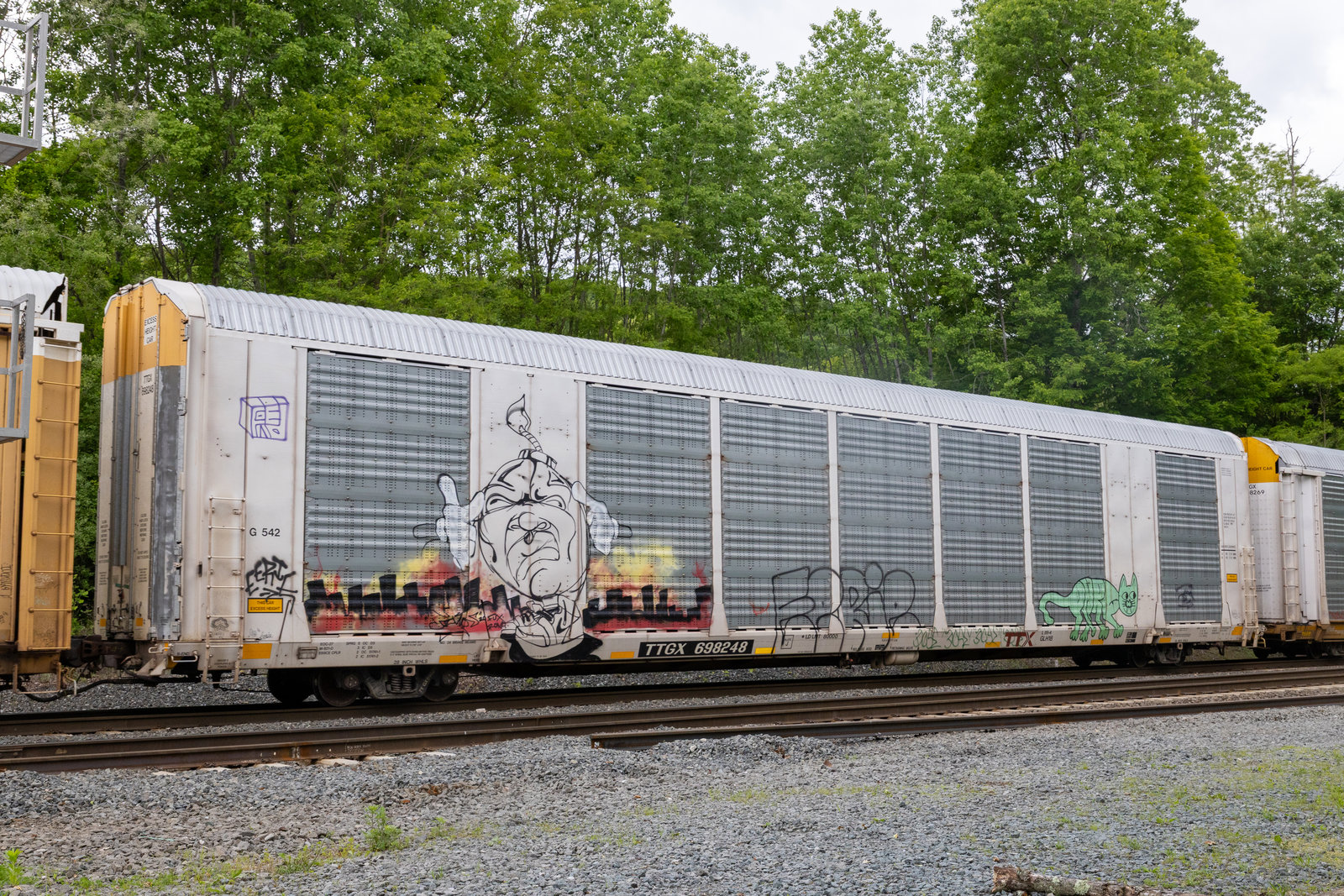 TTGX 698248