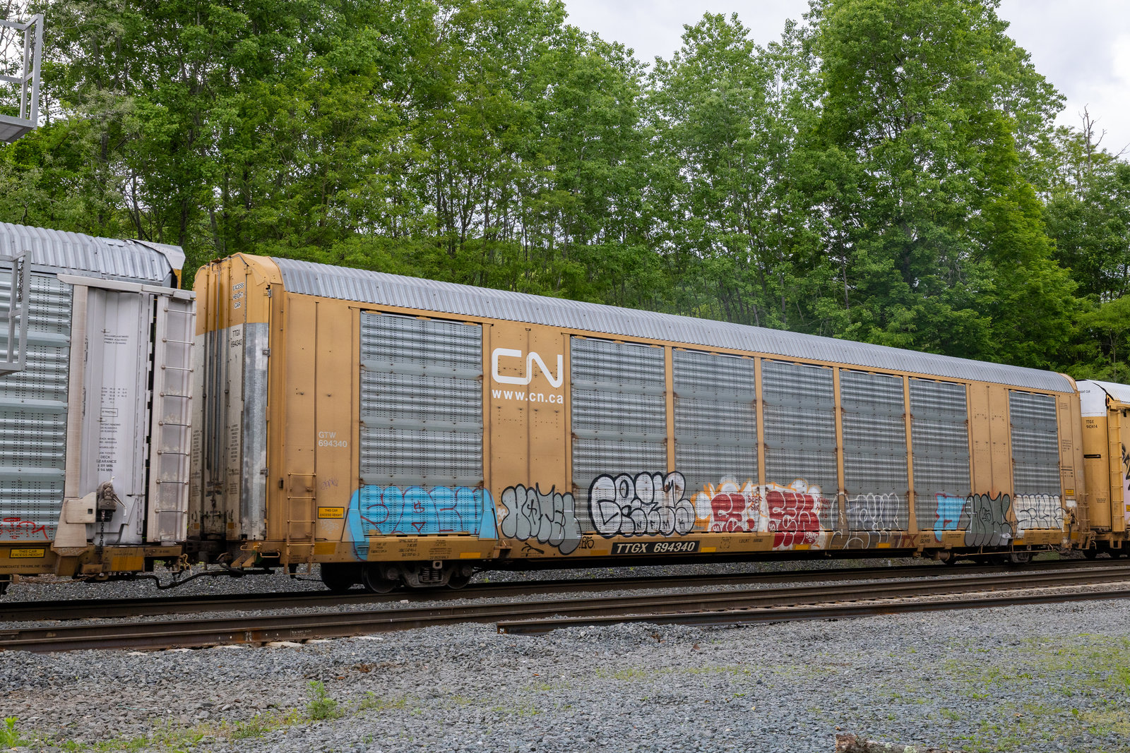 TTGX 694340