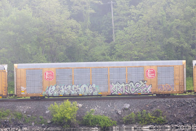 TTGX 691866