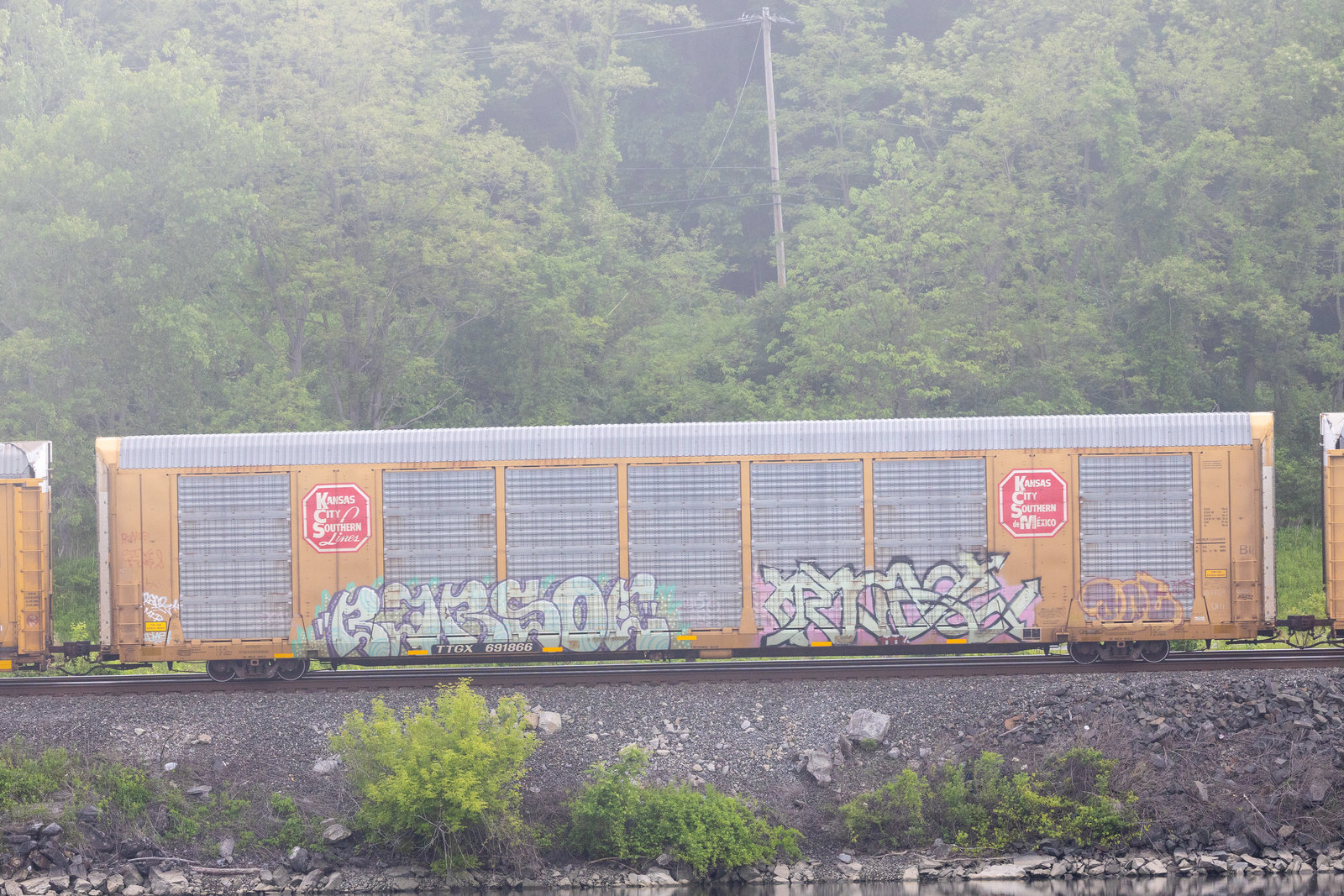 TTGX 691866