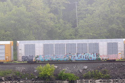 TTGX 698252