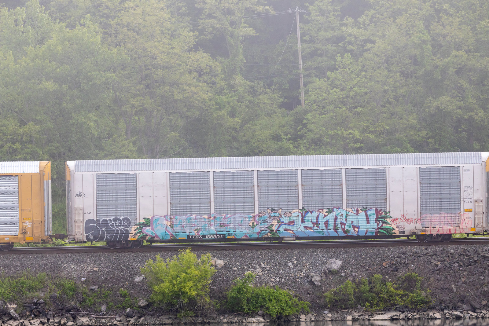 TTGX 698252