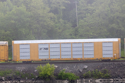 TTGX 824286