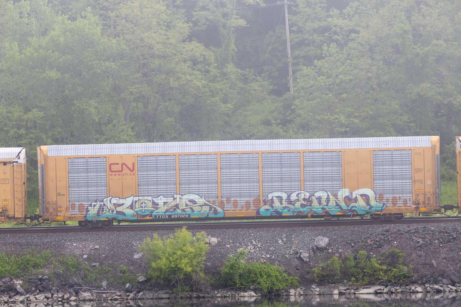 TTGX 697029