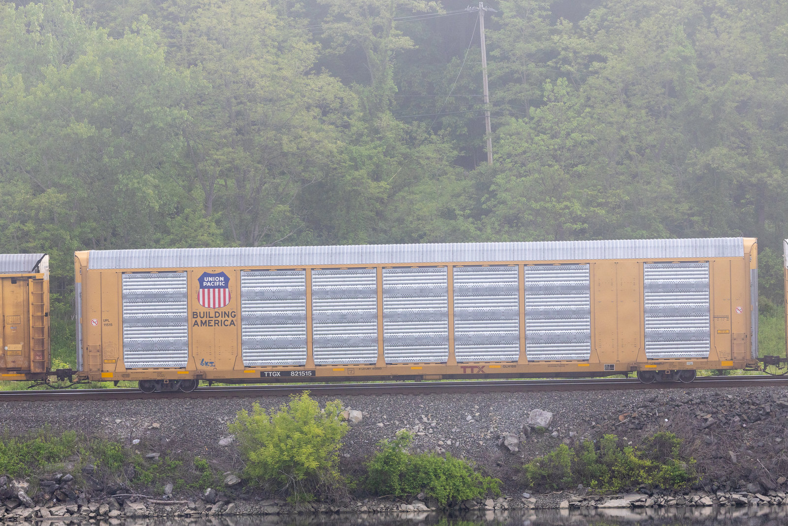 TTGX 821515