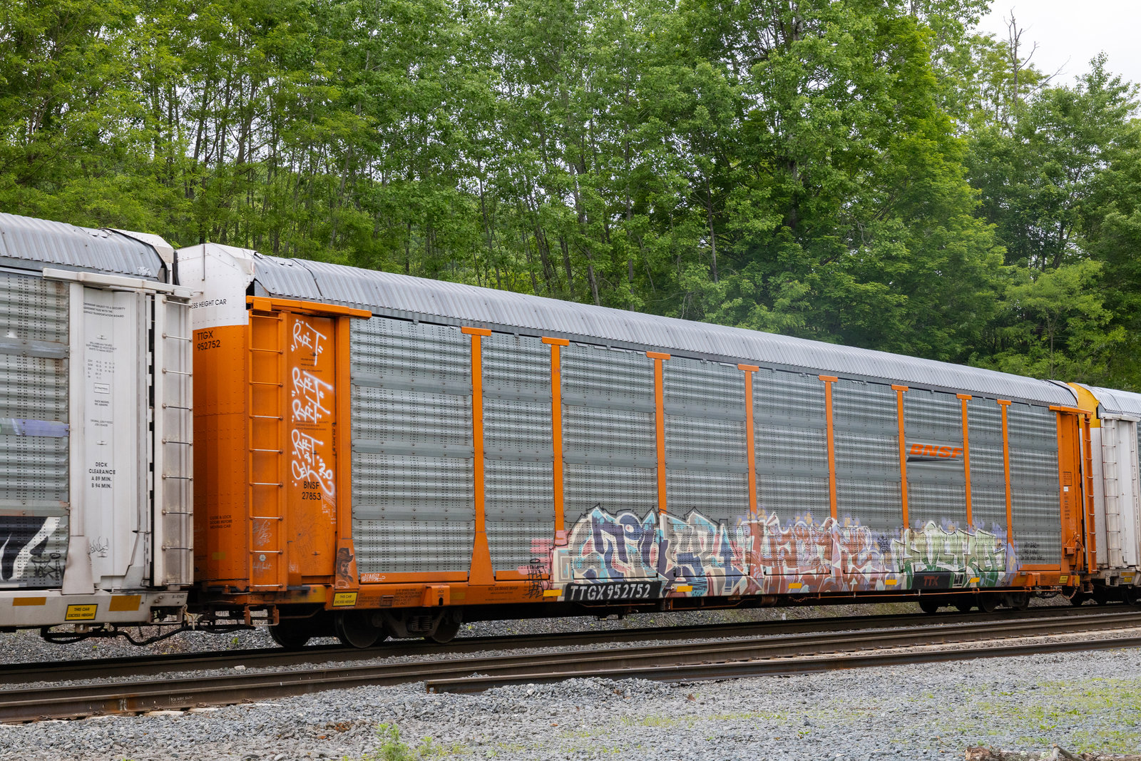 TTGX 952752