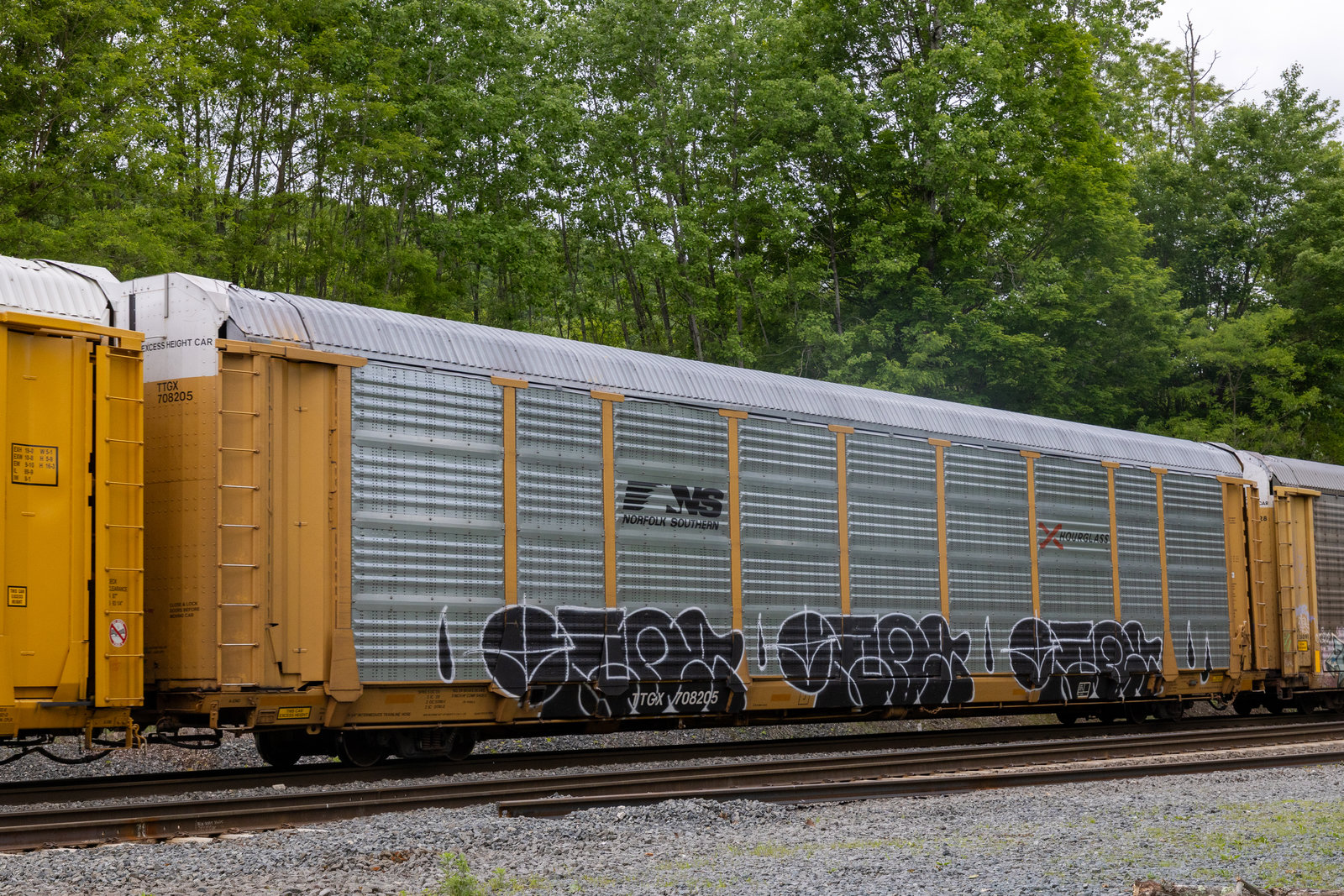 TTGX 708205