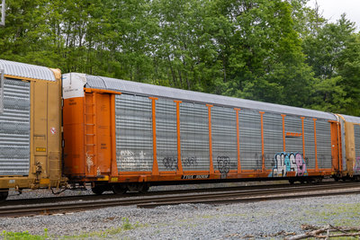TTGX 952838